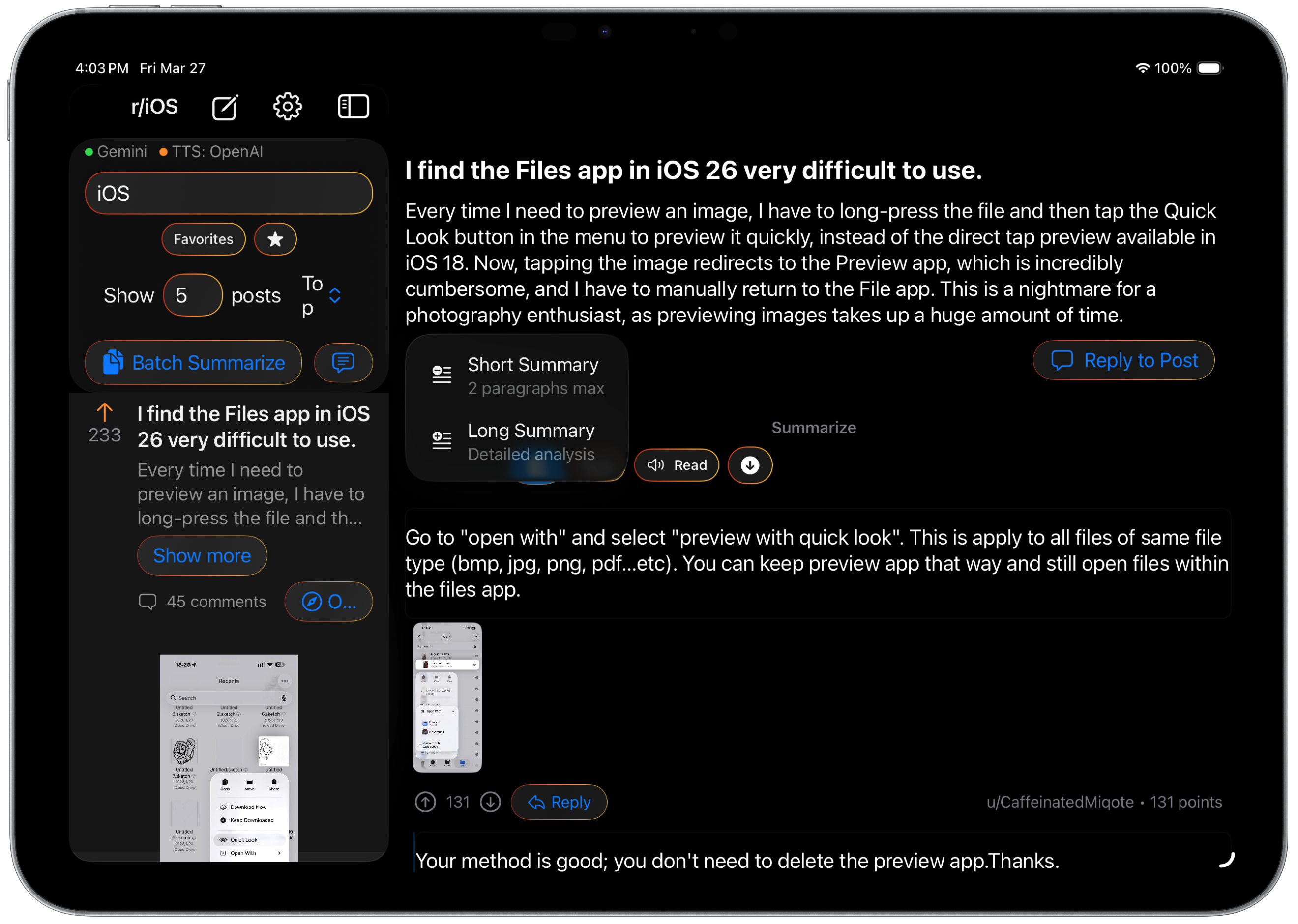 Short Summary Example